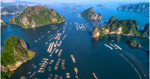 Du lịch mở cửa sau đại dịch-Homestay View biển gây sốt trước cơ hội vàng Du lịch mở cửa sau đại dịch-Homestay View biển gây sốt trước cơ hội vàng