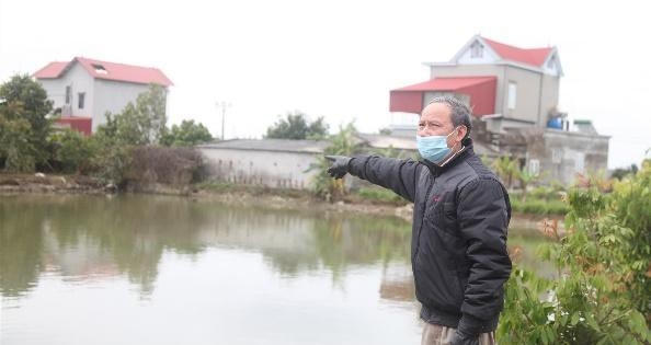 Bí ẩn bãi cọc gỗ ở Bắc Giang