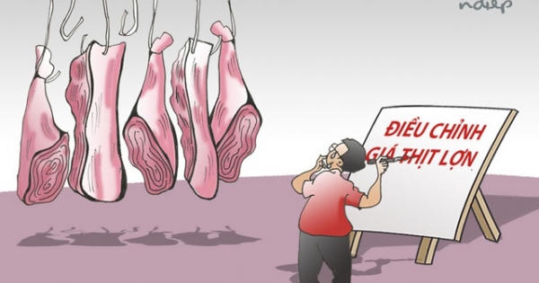 Làm sao để dân có thể mua thịt lợn với giá trên... tivi?