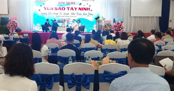 Tây Ninh bàn cách xuất khẩu tổ yến sang Trung Quốc