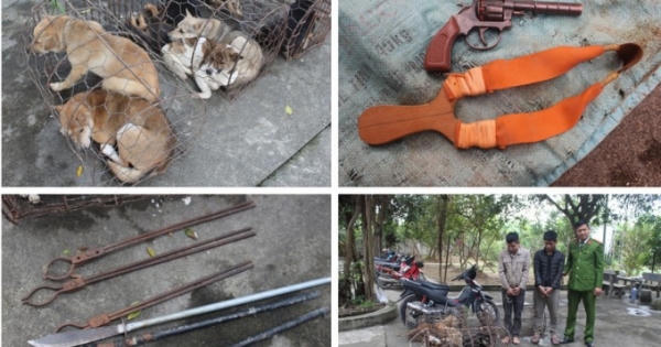 Nhóm “cẩu tặc” liều lĩnh dùng mác chém công an bị thương