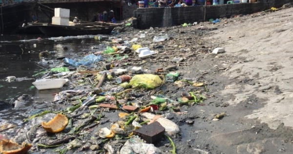 Váng dầu, rác thải ở ven bờ vịnh Hạ Long Váng dầu, rác thải ở ven bờ vịnh Hạ Long