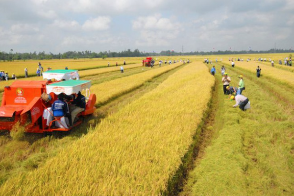 Những quy định bồi thường về đất khi Nhà nước thu hồi đất nông nghiệp Những quy định bồi thường về đất khi Nhà nước thu hồi đất nông nghiệp