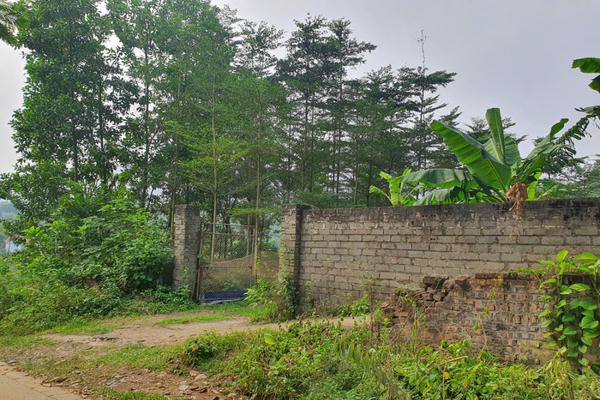 Quốc Oai: Cần xem xét tạm đình chỉ giải quyết vụ án “Hủy hoại tài sản” xảy ra tại Công ty TNHH Bình Minh