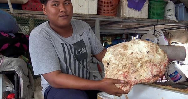 Vô tình nhặt được hòn đá lạ, nặng 7 kg, ngư dân trẻ vớ bẫm được cả "kho báu" tiền tỷ Vô tình nhặt được hòn đá lạ, nặng 7 kg, ngư dân trẻ vớ bẫm được cả "kho báu" tiền tỷ