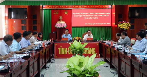 Chuyển đổi tư duy từ sản xuất nông nghiệp sang kinh tế nông nghiệp