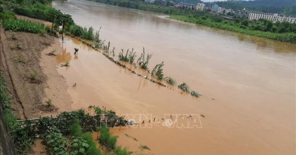 Xuất hiện lũ lớn trên sông Hồng và sông Chảy đoạn qua tỉnh Lào Cai