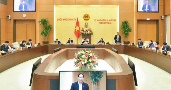 Khi Quốc hội vào cuộc giám sát