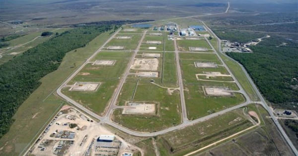 Mỹ có kế hoạch cho thuê chỗ trong kho dự trữ dầu mỏ chiến lược