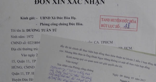 Vụ tranh chấp hợp đồng đặt cọc ở huyện Đức Hòa, Long An: Nguyên đơn có “phép phân thân”?