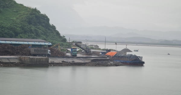 Quảng Ninh: Cảng hàng hóa "biến tướng" thành xưởng băm dăm trái phép
