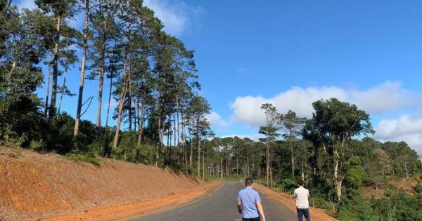 Thanh tra toàn diện dự án lấy đất rừng làm khu biệt thự