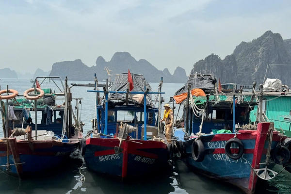 Tăng cường xử lý vi phạm trên tuyến đường thủy nội địa tỉnh Quảng Ninh