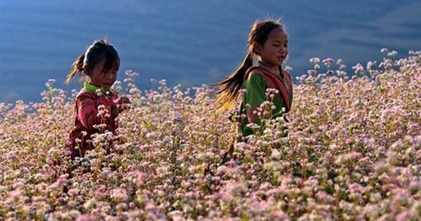 Du lịch Việt Nam: Bao giờ thoát được tư duy "ăn sẵn"?