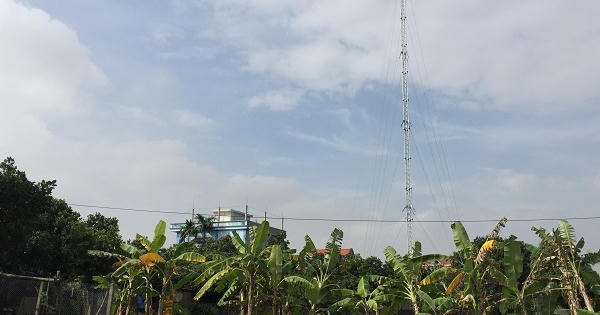 Yêu cầu xử lý dứt điểm trạm thu phát sóng mọc trái phép trên đất công trình thuỷ lợi