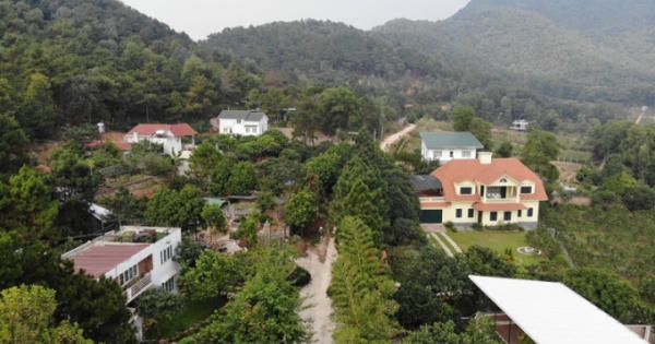 Sai phạm đất rừng Sóc Sơn: Sau kỷ luật cán bộ có xem xét trách nhiệm hình sự?