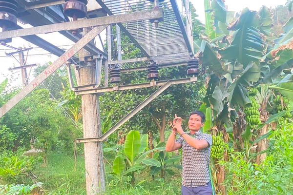 Lào Cai: Bắt khẩn cấp đối tượng trộm linh kiện thiết bị điện lưới khiến cả thành phố mất điện