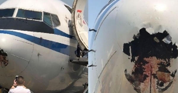 Máy bay Boeing thủng lỗ lớn vì đấu đầu với chim