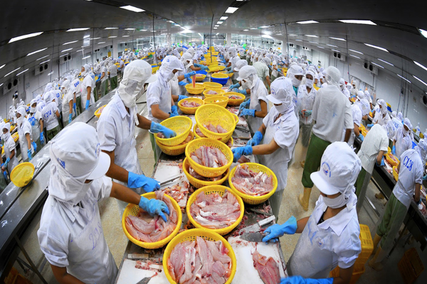 Xuất khẩu thủy sản 2025 hướng tới mốc 11 tỷ USD