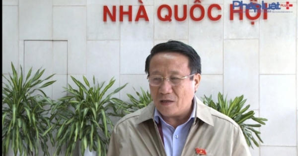 Cục điều tra VKSND tối cao vào cuộc vụ “kỳ án gỗ trắc”