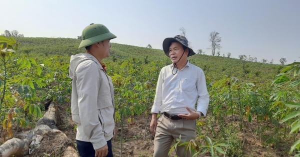 Quảng Trị: Vụ chặt phá rừng trồng 12 năm chưa xử lý dứt điểm