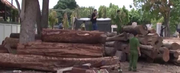 Tin nhanh ngày 28/8/2018: Khởi tố, bắt tạm giam hạt trưởng kiểm lâm ở Đắk Lắk