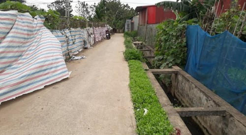 Vụ người phụ nữ đi tập thể dục bị sát hại ở Phúc Thọ: Trích xuất camera an ninh