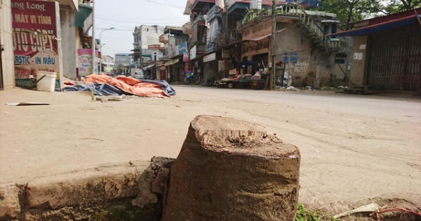 Thêm một xã ở Hà Nội bất ngờ chặt hàng loạt cây xanh Thêm một xã ở Hà Nội bất ngờ chặt hàng loạt cây xanh