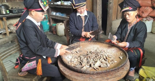 Những giọt nhựa thơm no ấm ở Văn Bàn Những giọt nhựa thơm no ấm ở Văn Bàn