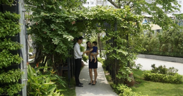 Capital House trồng 5.475 cây xanh nhân dịp kỷ niệm 15 năm thành lập Tập đoàn