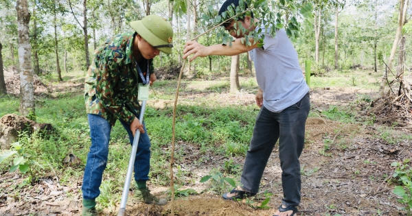 Trồng 500 cây gỗ quý tại Khu bảo tồn Thiên nhiên văn hóa Đồng Nai Trồng 500 cây gỗ quý tại Khu bảo tồn Thiên nhiên văn hóa Đồng Nai