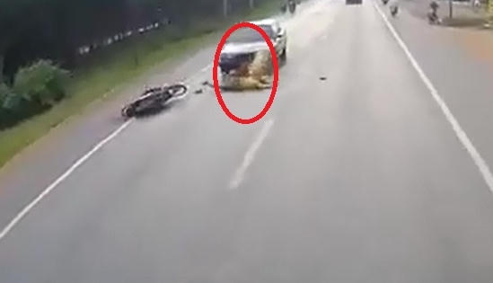 [Clip]: Sang đường không quan sát, người phụ nữ bị ô tô húc bay xuống đường