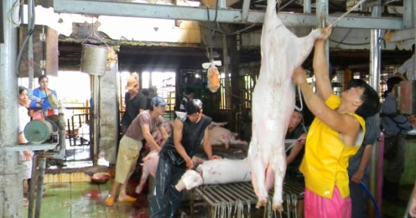 Con tem có làm nên miếng thịt sạch?