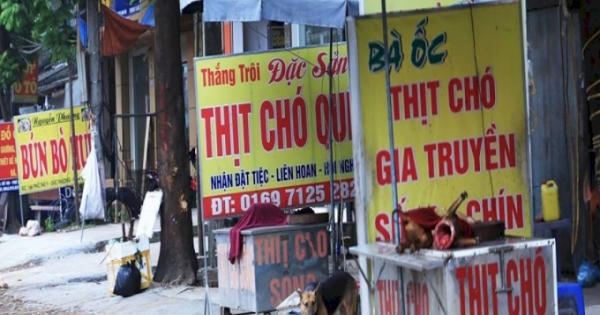 Bị nhắc nhở, chủ quán thịt chó còn chống người thi hành công vụ Bị nhắc nhở, chủ quán thịt chó còn chống người thi hành công vụ
