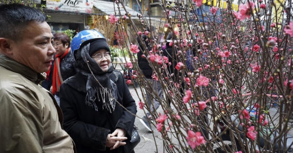 Sắc đào đỏ rực chợ hoa Tết đặc biệt ở phố cổ Hà Nội