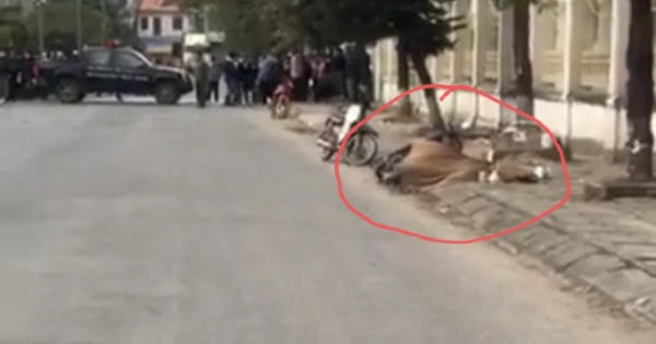 Hà Nội: Tập trung truy bắt nghi phạm giết người giữa phố