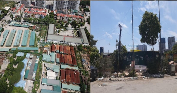 Có đất xây trường học, Công ty CP giáo dục Đông Đô “bỏ không” gần 10 năm