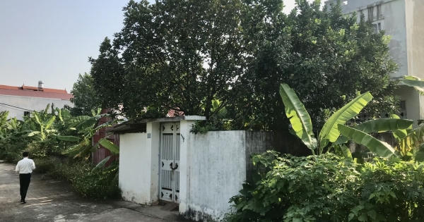 Mất trắng tài sản vì phán quyết vô hiệu hợp đồng “bán đất gán nợ” Mất trắng tài sản vì phán quyết vô hiệu hợp đồng “bán đất gán nợ”