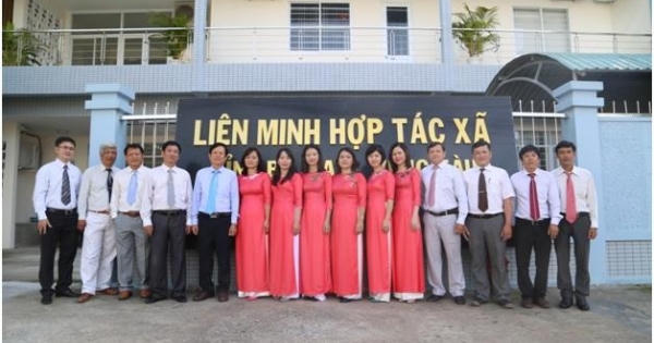 Tỉnh Bà Rịa - Vũng Tàu đẩy mạnh phong trào phát triển kinh tế tập thể, Hợp tác xã