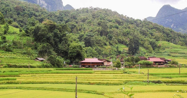 Nghệ An tích cực triển khai các tiểu Dự án thuộc Chương trình mục tiêu quốc gia Nghệ An tích cực triển khai các tiểu Dự án thuộc Chương trình mục tiêu quốc gia