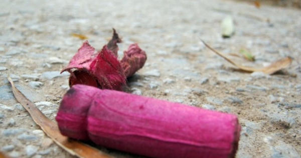 Nghệ An: Điều tra nguyên nhân vụ nổ khiến nam sinh bị thương nặng