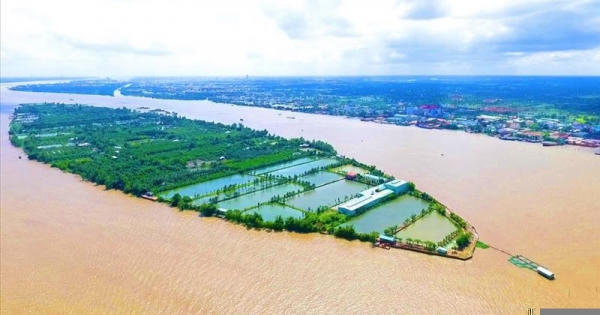 Cần Thơ thu hồi chủ trương đầu tư Khu du lịch Cồn Sơn của Tập đoàn TMS