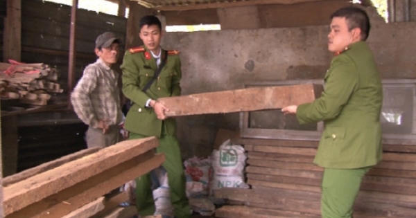 Huế: Thu giữ 60 phách gỗ không rõ nguồn gốc
