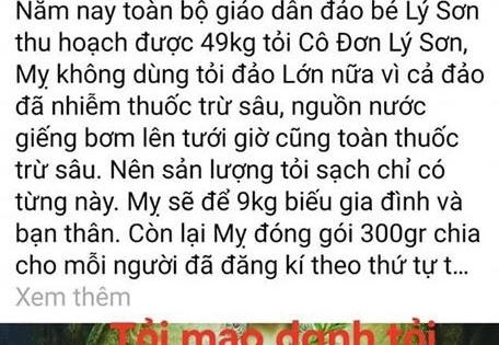 Quảng Ngãi: Facebooker tung tin thất thiệt liên quan tỏi Lý Sơn