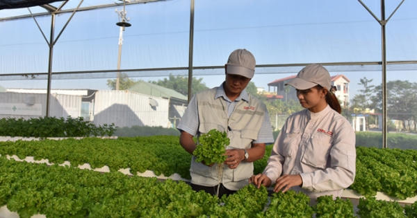 Phê duyệt Đề án Phát triển kinh tế tuần hoàn ở Việt Nam