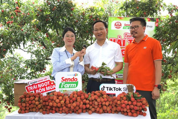 Livestream đầu tay, Phó Chủ tịch Bắc Ninh bán 54 tấn vải trong 6 giờ