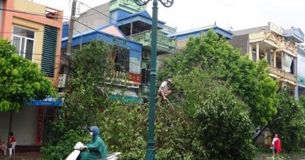 Thành Phố Nam Định tan hoang sau sự hung bạo của cơn bão số 1