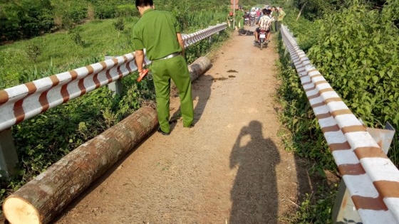 Lâm Đồng: Lâm tặc đốt xe phi tang khi gặp lực lượng Hạt kiểm lâm