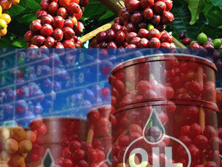 Thị trường năng lượng: Lực bán tăng mạnh, giá dầu quay đầu suy giảm Thị trường năng lượng: Lực bán tăng mạnh, giá dầu quay đầu suy giảm