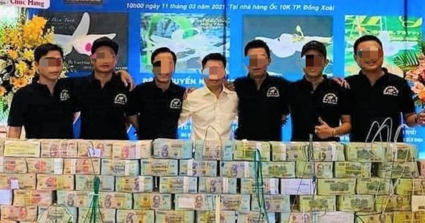 Lan đột biến hết thời "tiền tỷ", tụt dốc rẻ hơn... rau muống